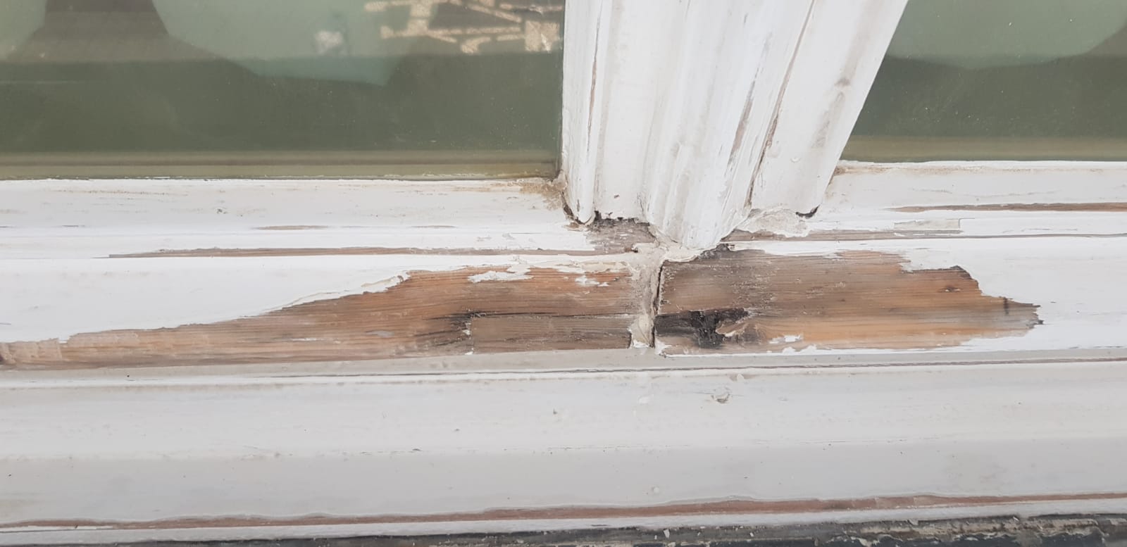 WhatsApp Image 2020-02-12 at 17.38.24-4.jpeg