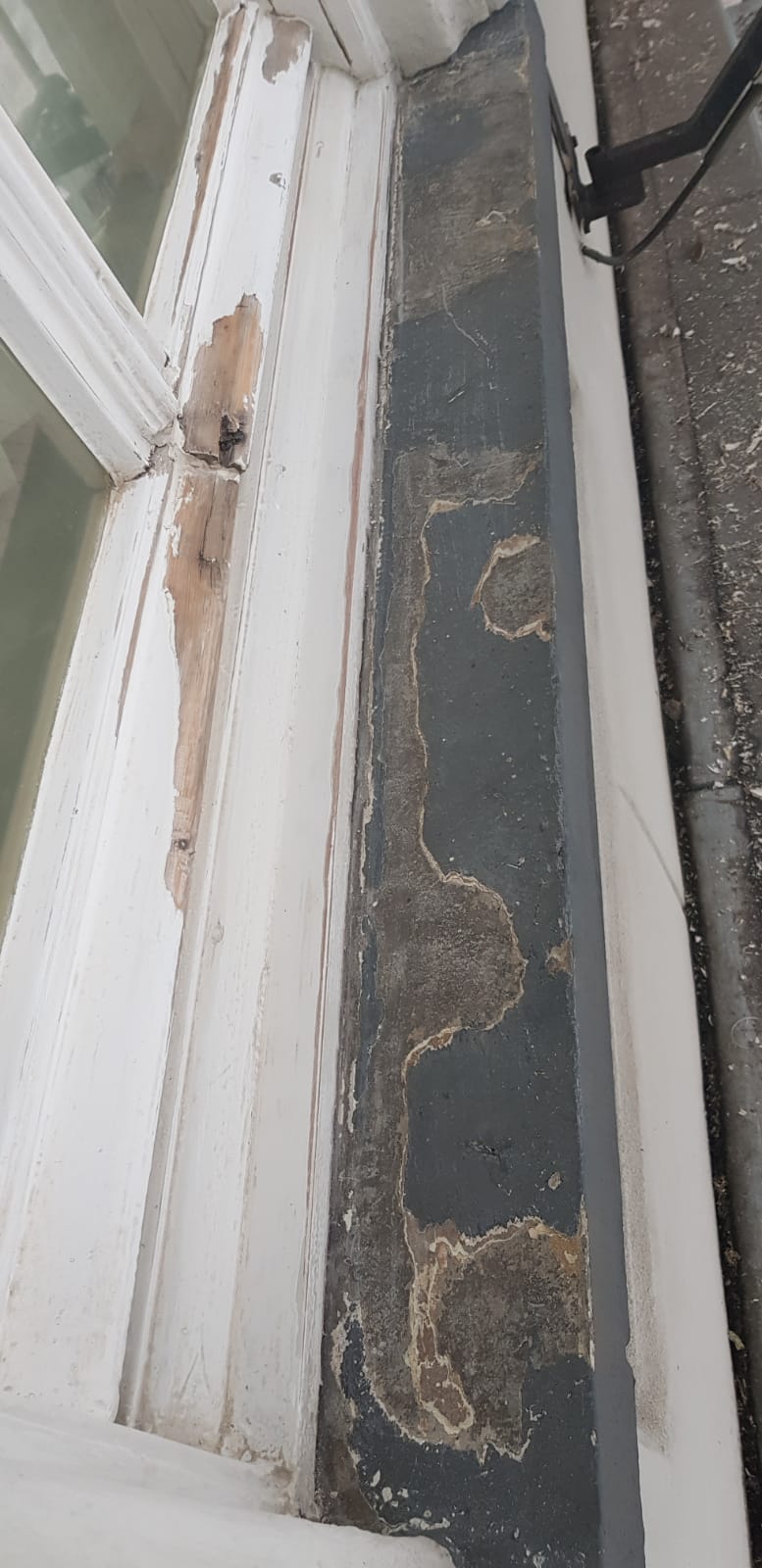 WhatsApp Image 2020-02-12 at 17.38.24-5.jpeg